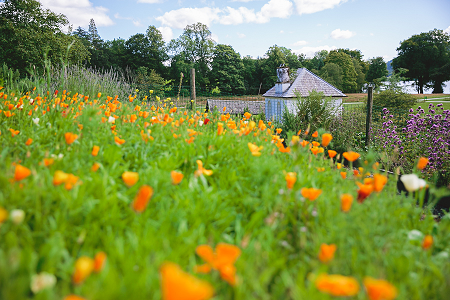 Brockhole gardens